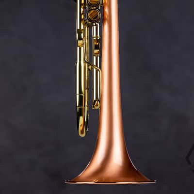 Taylor 46 Balladeer Bb trumpet / flugelhorn hybrid 2020, matte lacquer image 8