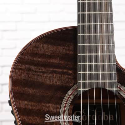 Cordoba Fusion 12 Exotic Top Nylon-string Acoustic-electric Guitar - Cinnamon Burst (Fus12ExCBd1) image 2