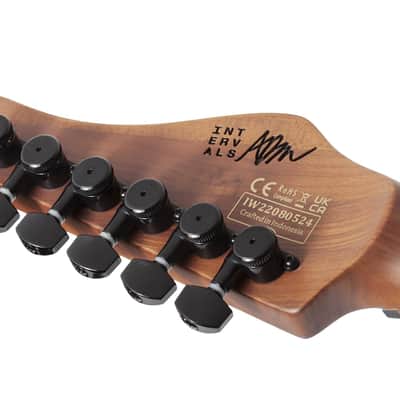 Schecter Aaron Marshall AM-6 Satin Royal Sapphire image 15