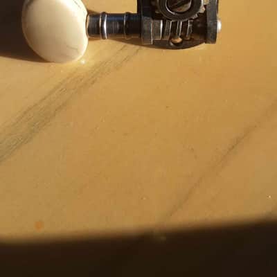 1 Van ghent Tuner White Ovale button knob 60'S . hagstrom. Goya. Gretsch. Guild and Others image 5