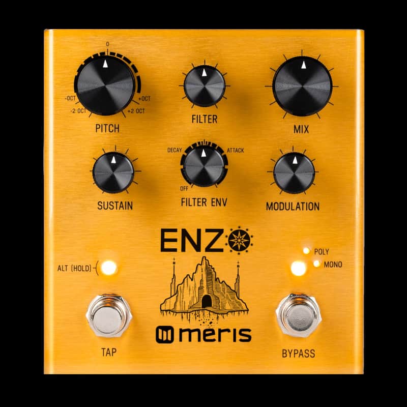 Meris Enzo Multi-Voice Synthesizer Guitar Effect Pedal image 1