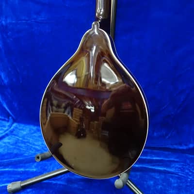 Ozark 2251 Mandolin A Model Round Sound Hole Pro image 3