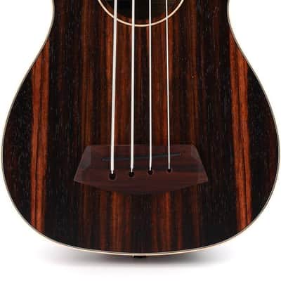 Kala U-Bass Striped Ebony - Fretted Round Wounds image 1