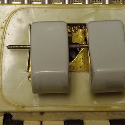 Salanti Vintage Accordion serial G100 image 7