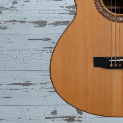 Manzer Baritone "Pat Metheny" image 13