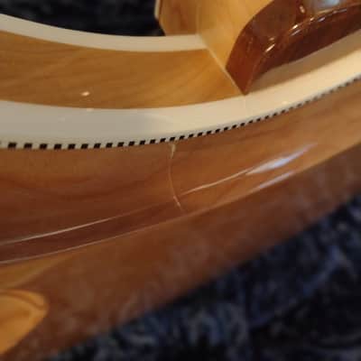1999 Rickenbacker 381/12V69 Gorgeous! image 12