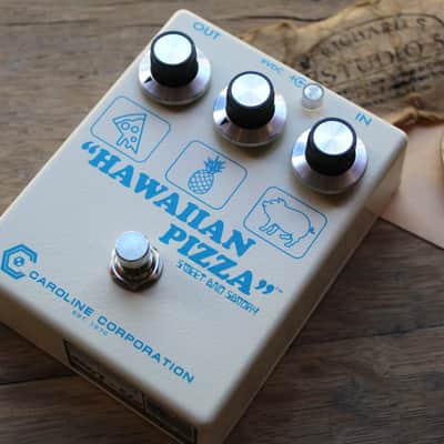 CAROLINE  "Hawaiian Pizza Fuzz" image 8
