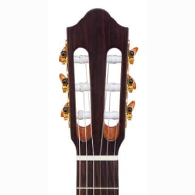 Kremona Sofia SC-T w/ Truss Rod | All-Solid Hand Crafted Classical Guitar. New with Full Warranty! image 4