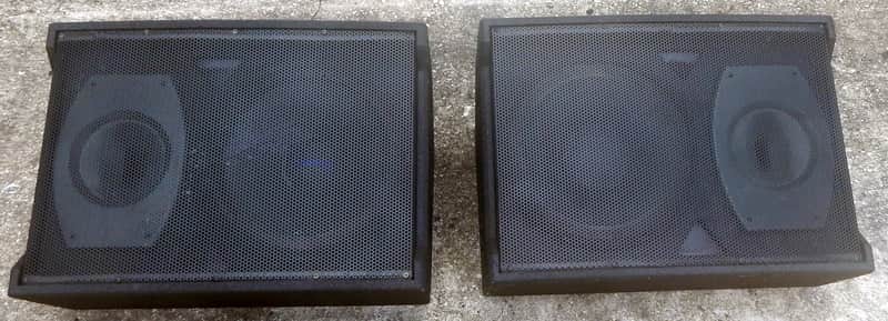 Acoustic AM2115 floor stage monitors image 1