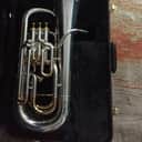 Yamaha YEP-842 Custom Compensating Euphonium 2009 Silver