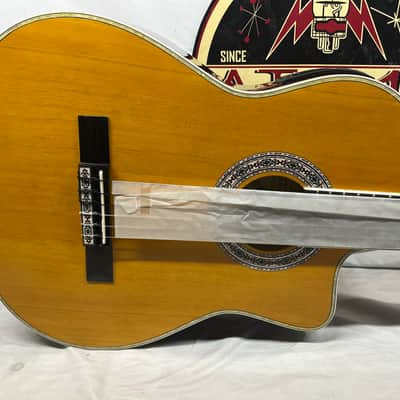 Esteban Granada Classical Acoustic Guitar and G10 Amplifier Like New image 3
