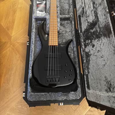 F Bass BN5, brand new with waterproof ATA road case image 2