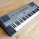 1980s Roland HS-60 Vintage Polyphonic Analog Synthesizer w/ Flight Case