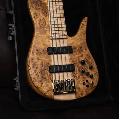 Fodera Imperial 5 Elite Poplar Burl End-2023 (10.5 lbs) image 1