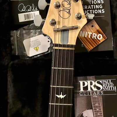 PRS Silver Sky "Dead Spec" Limited image 9