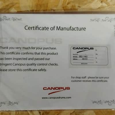 CANOPUS Limited Edition R.O.F. V4, 14"x6". image 12