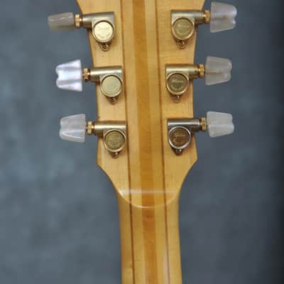 Ibanez Musician MC500 image 10