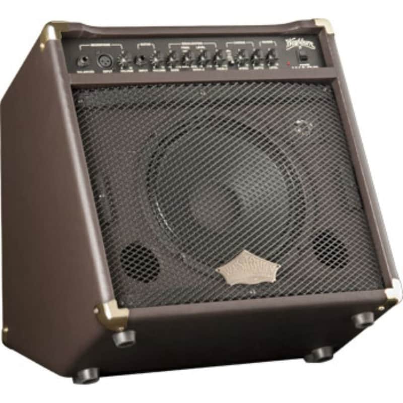 Washburn WA30 2-Channel 30-Watt 1x10