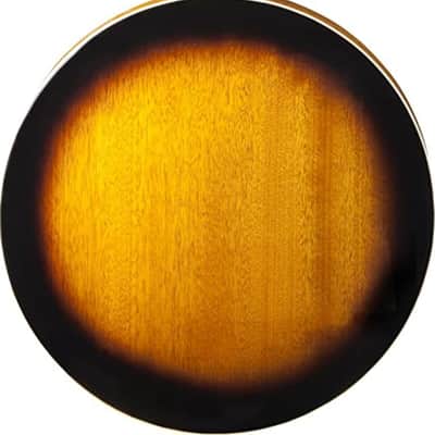 Washburn B10 Americana Series 5-String Resonator Banjo image 3