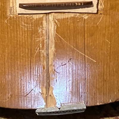Unknown Octavina? Laud? Homemade? 14 String Instrument - Natural image 3