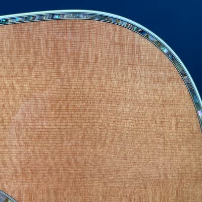1998 Taylor W10 Solid Walnut Dreadnought Acoustic Guitar w/ OHSC, Original Accessories image 9