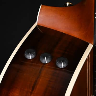 Taylor 214ce-K DLX Special Edition Honeyburst w/ Sitka Spruce Top & Hawaiian Koa Back and Sides Acoustic/ Electric- Honey Sunburst 2026 (2202096534) image 6