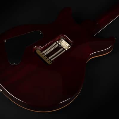 2010 Paul Reed Smith PRS 25th Anniversary Santana Signature 10-Top - Angry Larry | USA Limited Edition Flame Top 3.6kg | CoA OHSC image 13