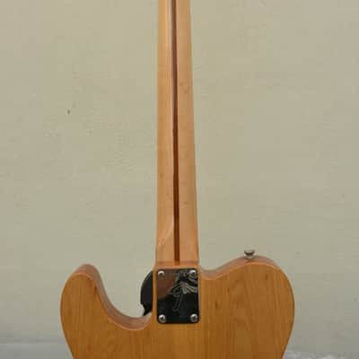 Fender Telecaster Thinline 1969 - Natural - 100% Original image 4