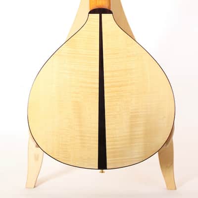 Prudencio Saez Cantinga Travel Guitar image 4