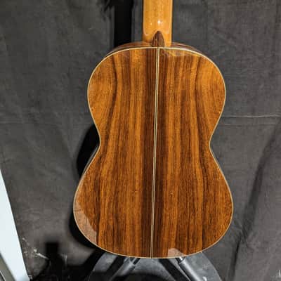 Cordoba Torres Limited Edition Nylon 6-String Classical Guitar w/ Archtop Hard Case image 5
