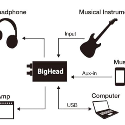 Phil Jones Big Head Pro - PJB Dealer image 2