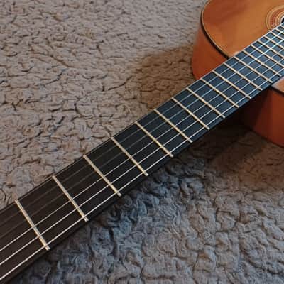 Antonio Raya Pardo Granada  - French Polish image 3