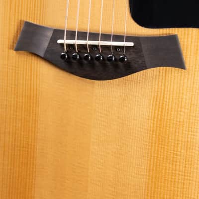 Taylor 110ce Dreadnought Acoustic/Electric Guitar - Solid Torrefield Spruce with Gig Bag image 14