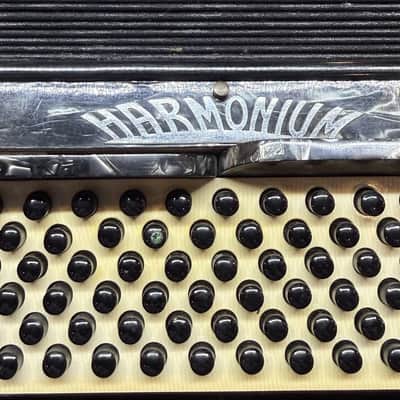 Vintage 120 Bass Full Size Harmonium Piano Accordion Black MOP With Case image 9