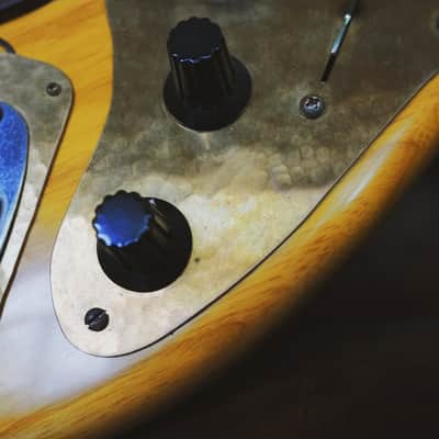Fender Custom Shop Alligator Strat Masterbuilt image 4