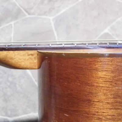 vintage CLARISSA flat top Blues GUITAR Eko guitare chitarra Italia 1972 image 11