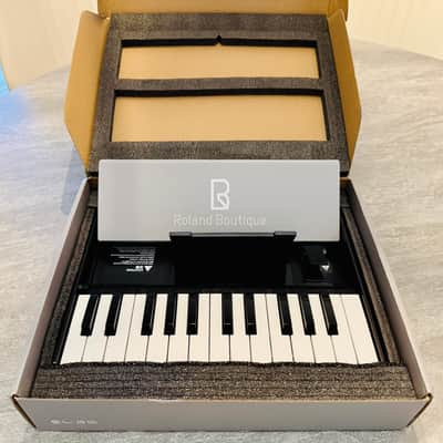 Roland K-25m Boutique Series 25-Key Portable Keyboard 2016 - Present - Black image 1