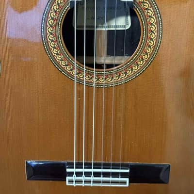 Antonio Aparicio AA100 guitar, Fustero tuners, All solid woods cedar top image 12