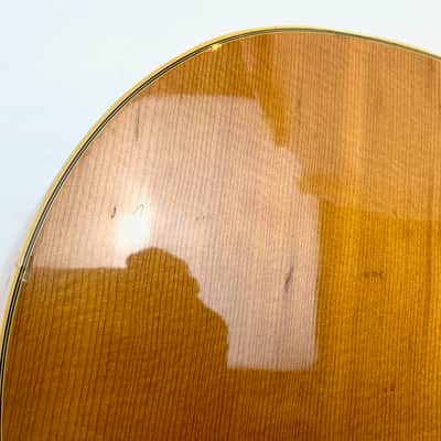 Fender Wildwood III 1966-1969 Natural image 10