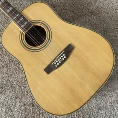 12 String Acoustic Guitar, Spruce Top Body, Mahogany Neck image 1