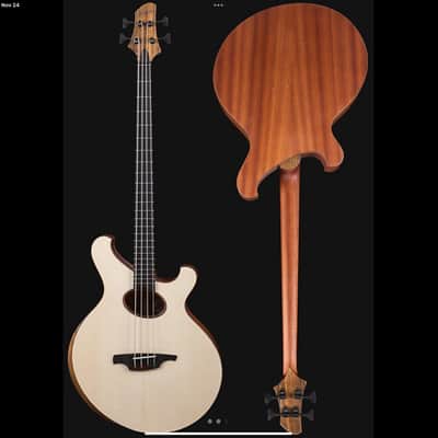 Svoboda Acoustic Electric Bass - Freted or Fretless 2021 - Clear Mat image 17