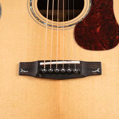 Cort Gold OC6-BO | All-Solid Acoustic / Electric OM Guitar w/ Case. New with Full Warranty! image 5