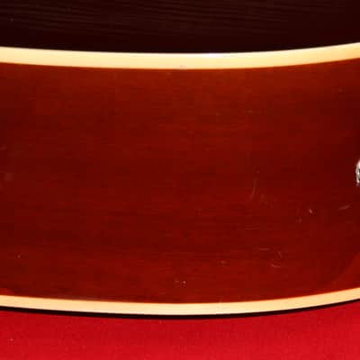 Glen Burton GA204BCO-BK  Cutaway Acoustic Electric Guitar image 7