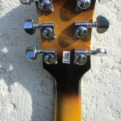 Washburn HB30TSK 335 Dot Neck Copy Guitar, 2012, HSC, Mint image 18