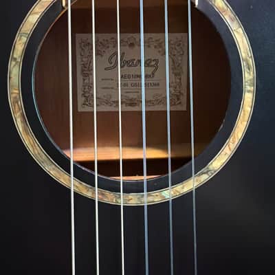 Ibanez AEG10NE Nylon Acoustic-Electric with Fishman Aura Pro Upgrade image 9