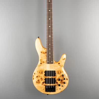 Michael Kelly Pinnacle 4 - Natural image 3