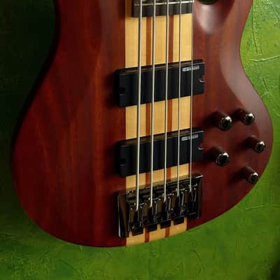 ESP LTD B-5E Neck-thru active 5-string bass (Mahogany top version) image 6