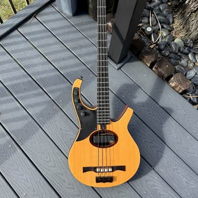 Citron AE-4 Swallow Bass 2009  - killer all around invention from Harvey Citron of Velette-Citron Basses. image 2