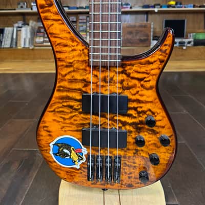 Peavey Cirrus 4 Active with Rosewood Fretboard 2010s - Tiger Eye image 2
