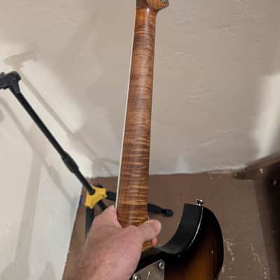 Novo Voltur Custom Built Version 1 image 5